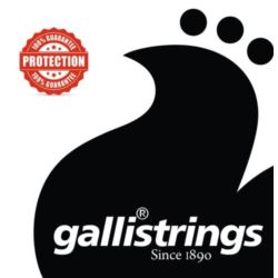 Galli RSB45105 - struny do gitary basowej